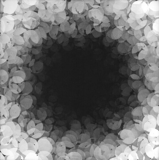 BLACK, 2016, aquatint, 20 x 20 cm