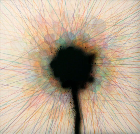 FLOWER, 2014, mixed media, 90 x 90 cm