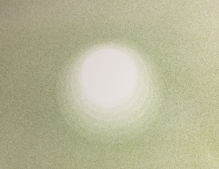 HOLE, 2019, plankton on paper, 45 x 70 cm, private collection