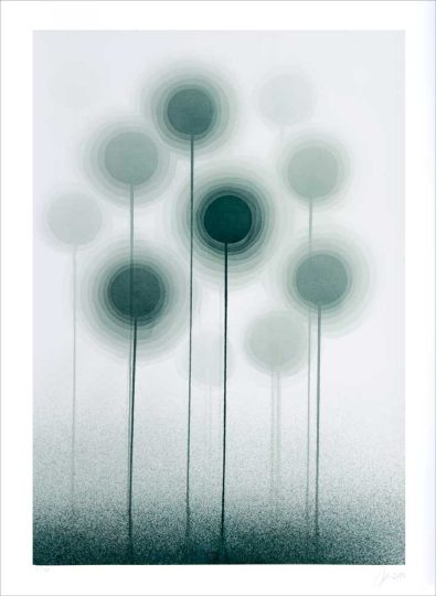 MEMORY OF A FOREST II, 2024, lithoraphy (edition of 50), 86 x 62 cm