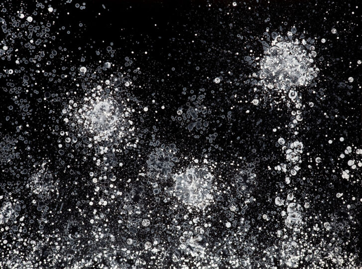 SOMEKIND OF FIELD, 2011, gloss on board, 135 x 183 cm, private collection