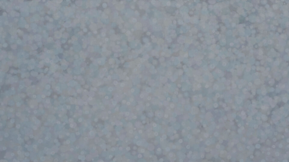 THE SLOW GREY, 2011, oil on canvas, 160 x 230 cm, private collection