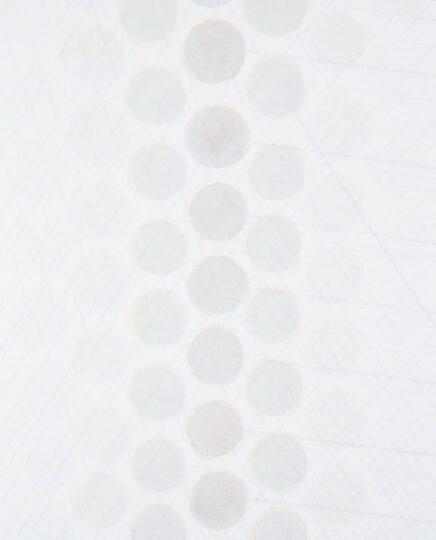 UNTITLED, 2006, watercolour on paper, 80 x 50 cm