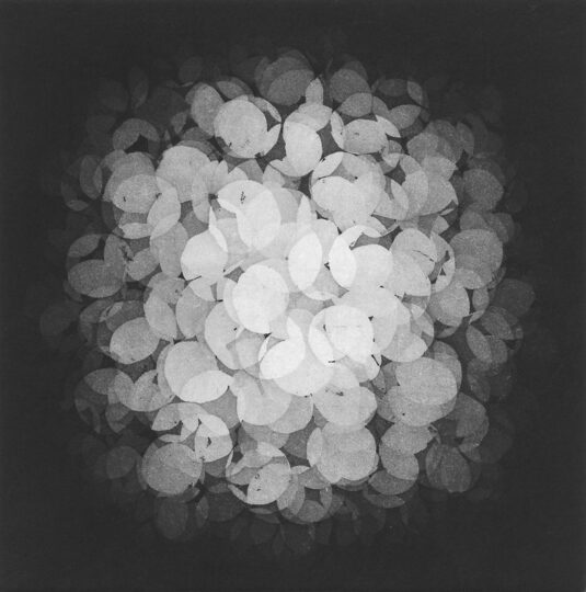 WHITE, 2016, aquatint (edition of 30), 20 x 20 cm